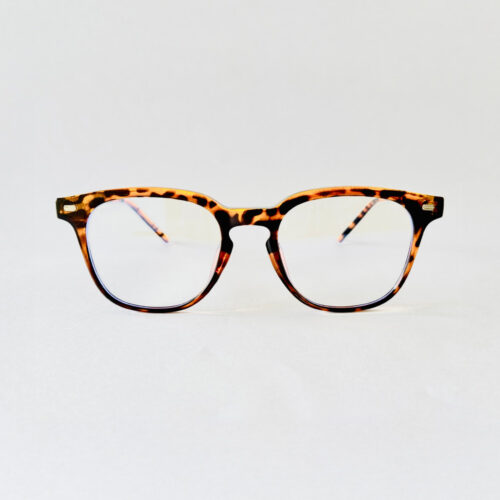 Tortoise Round Computer Glasses for Men and Women
